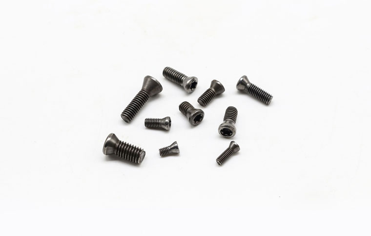 Precision Mold Parts