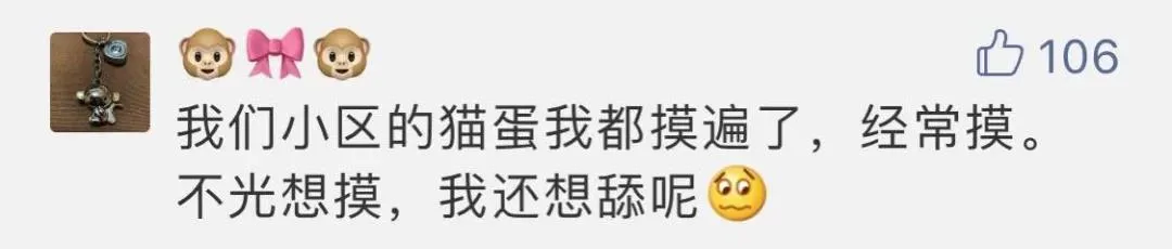“好奇猫奶是什么味道,有人和我一样喝过猫奶吗?”