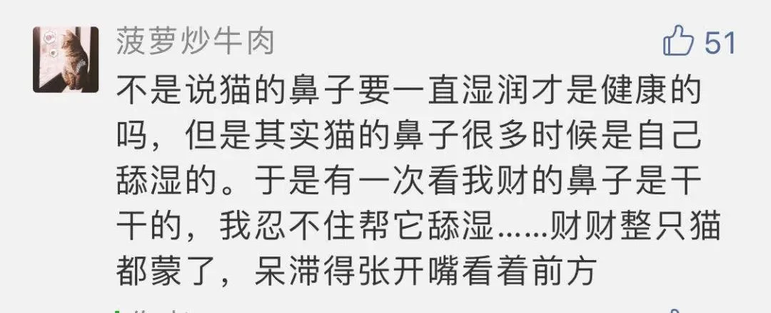 “好奇猫奶是什么味道,有人和我一样喝过猫奶吗?”