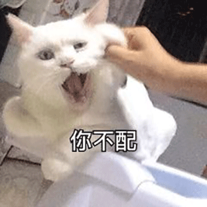 “好奇猫奶是什么味道,有人和我一样喝过猫奶吗?”
