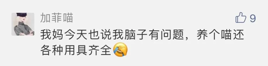 “好奇猫奶是什么味道,有人和我一样喝过猫奶吗?”