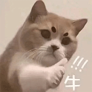 “好奇猫奶是什么味道,有人和我一样喝过猫奶吗?”