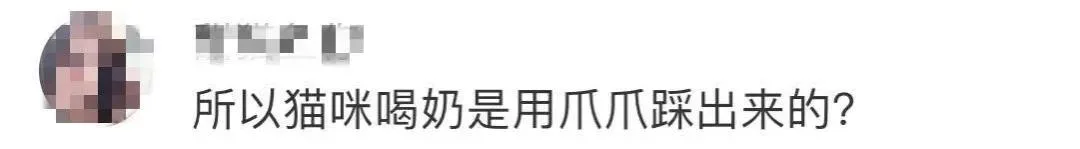 “好奇猫奶是什么味道,有人和我一样喝过猫奶吗?”