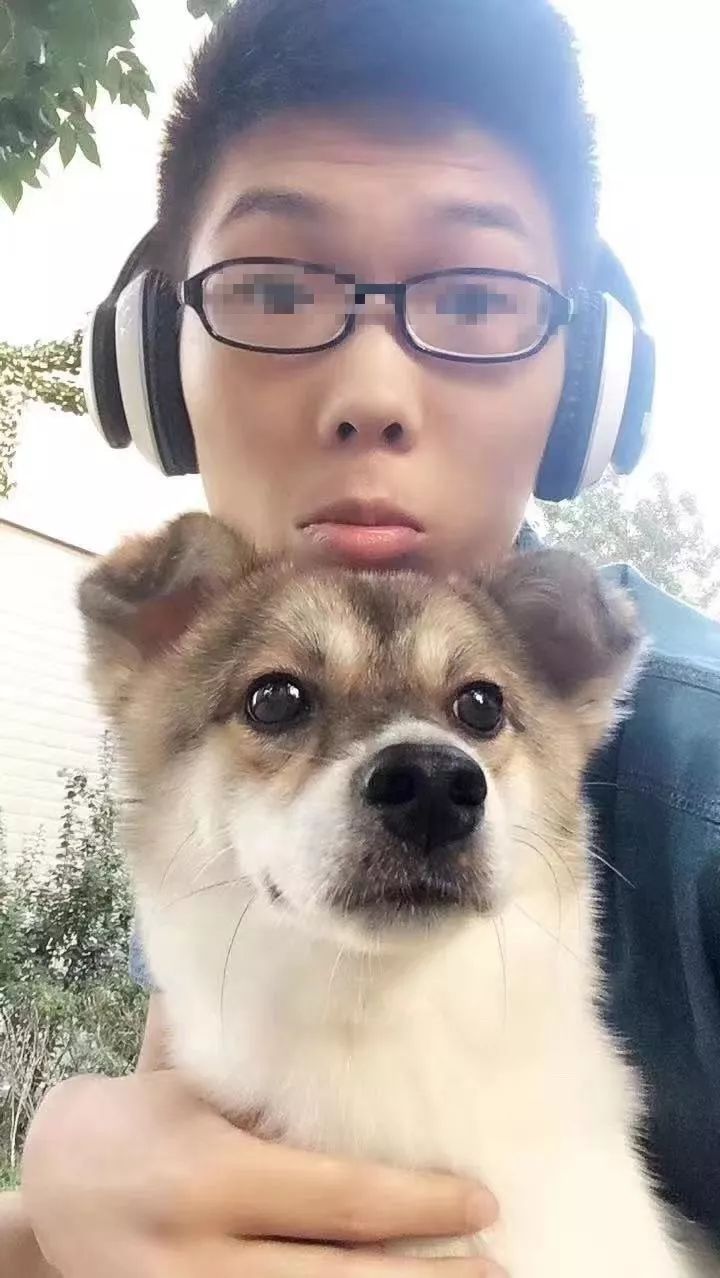 如果有一分钟的时间,让狗狗能听懂你说的话,你会说什么?