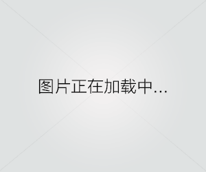seo运营是什么意思